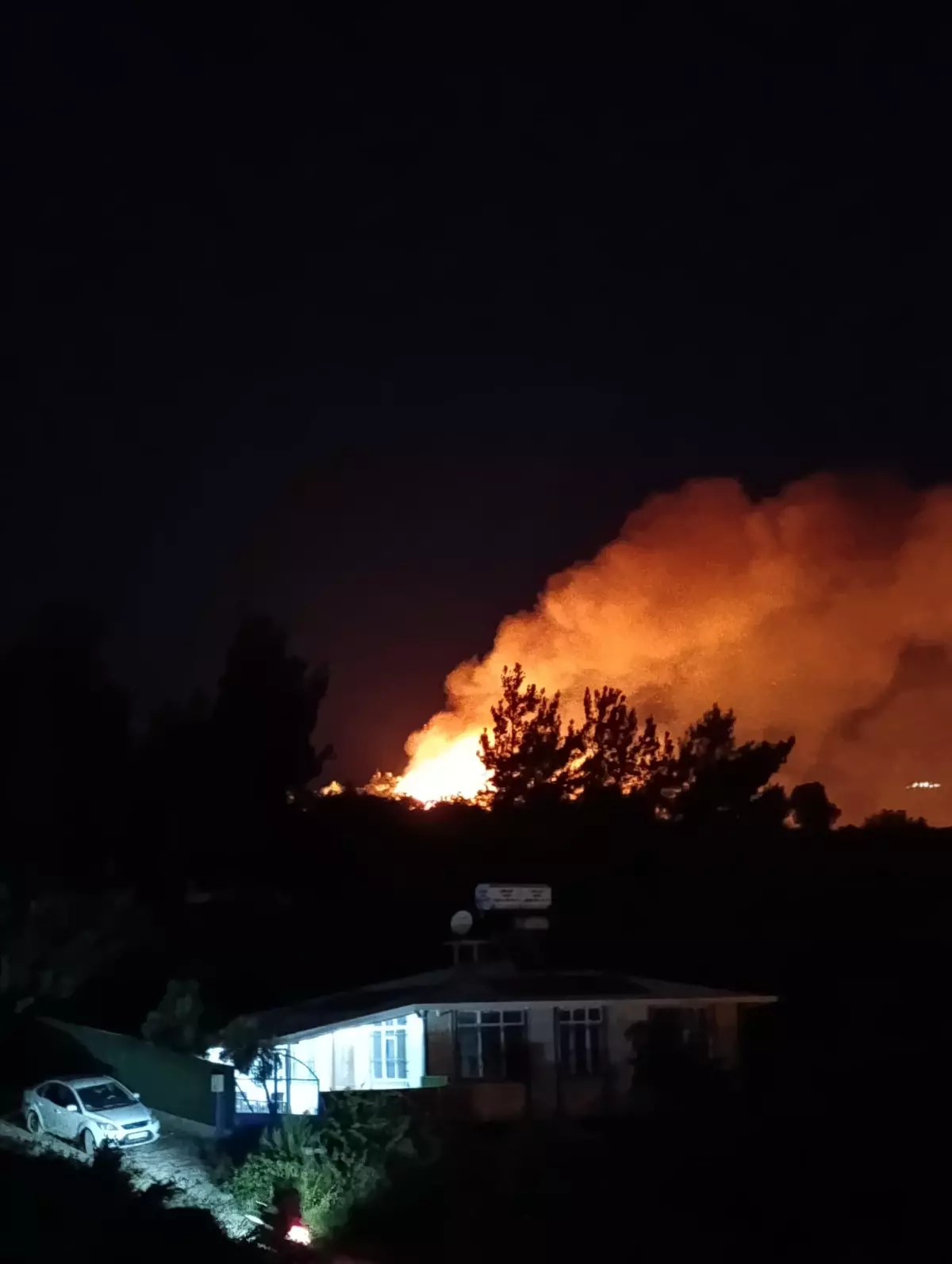 Samandağ\'da Makilikte Yangın