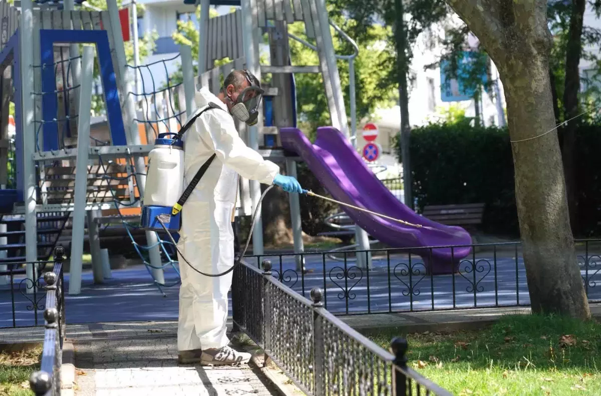 Şişli\'de Kene ve Sinek Mücadelesi