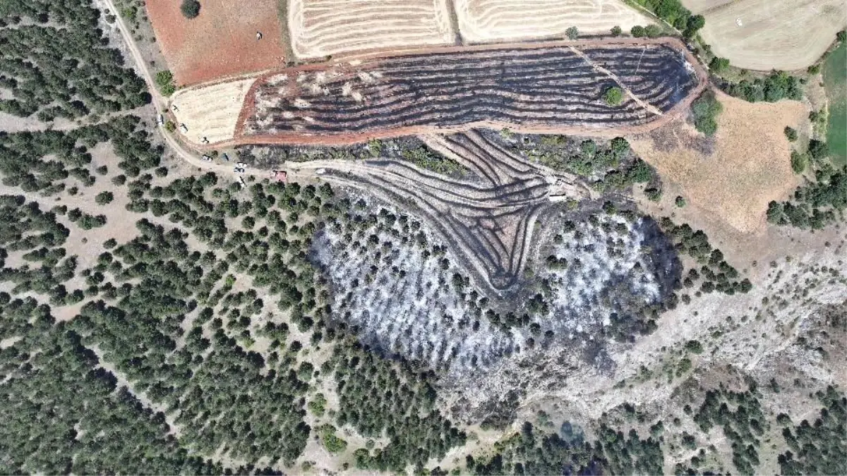Kastamonu\'daki Yangın Kontrol Altına Alındı
