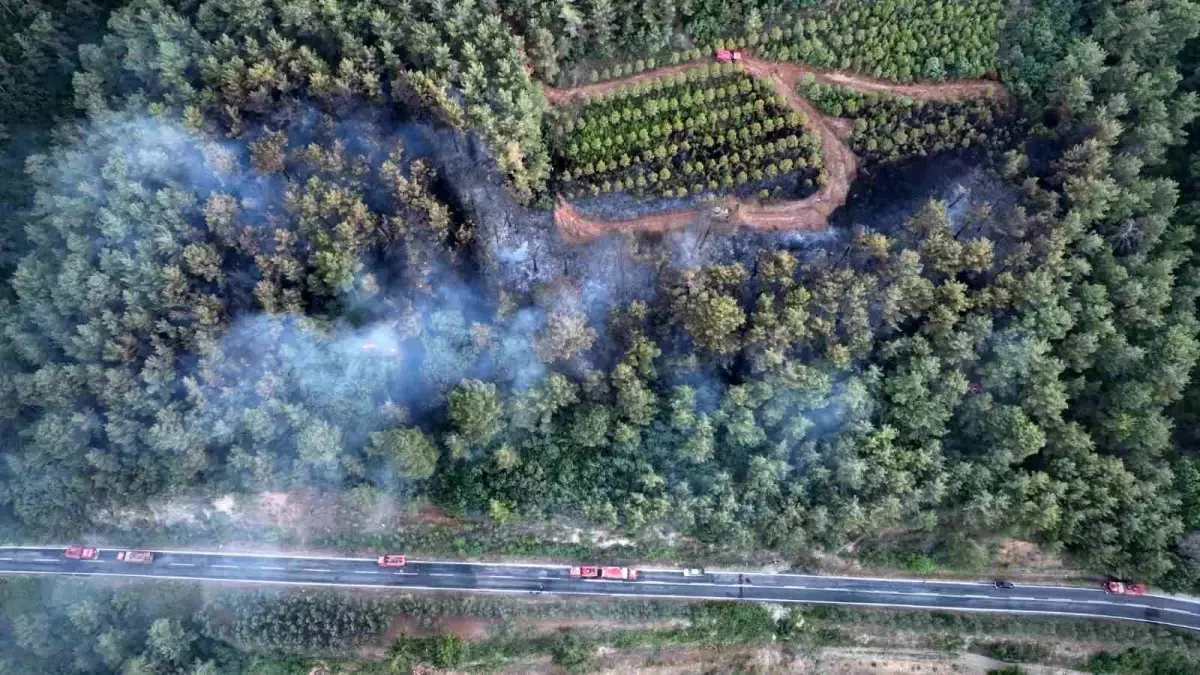 Bayramiç\'te Orman Yangını Kontrol Altına Alındı