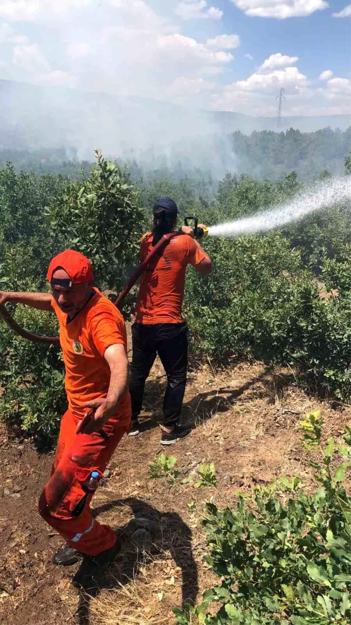 Bingöl\'de Orman Yangını Kontrol Altına Alındı