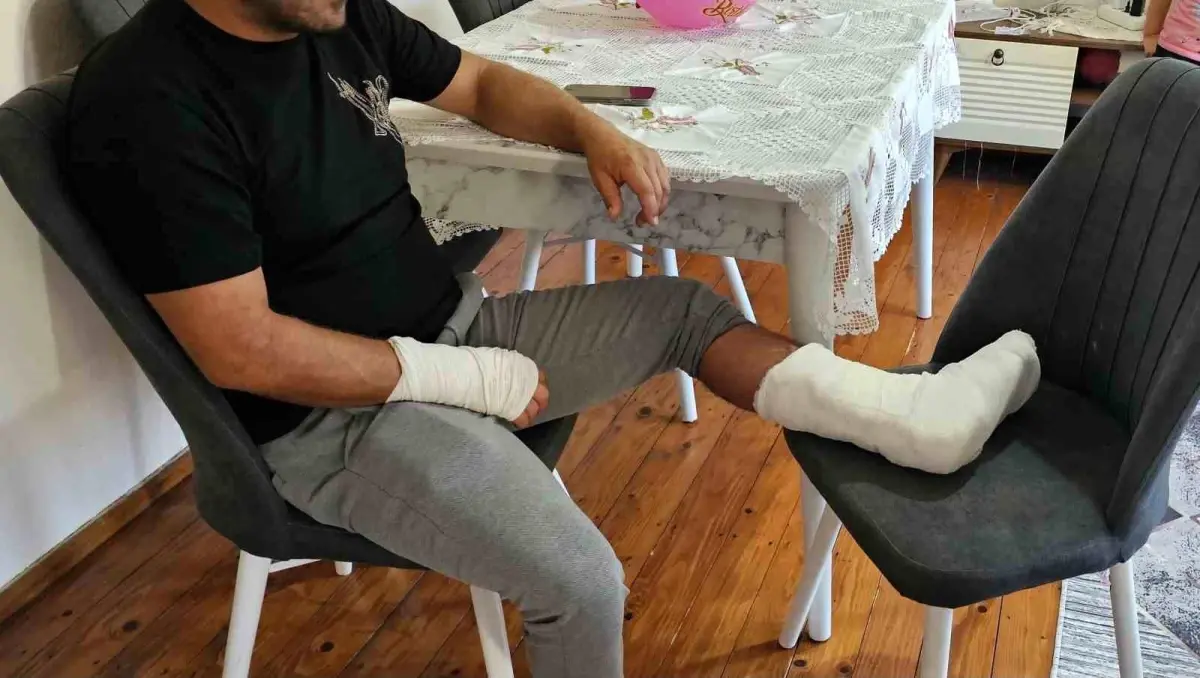 Kastamonu\'da Sokak Köpeği Saldırısı: Bir Vatandaş İki Kırıkla Hastaneye Kaldırıldı