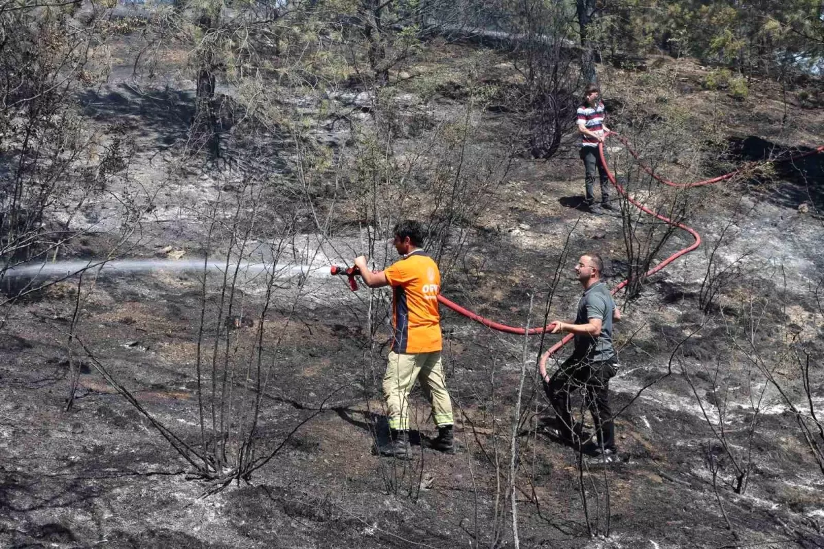 Kastamonu\'da Tarım Arazisinde Yangın Kontrol Altına Alındı