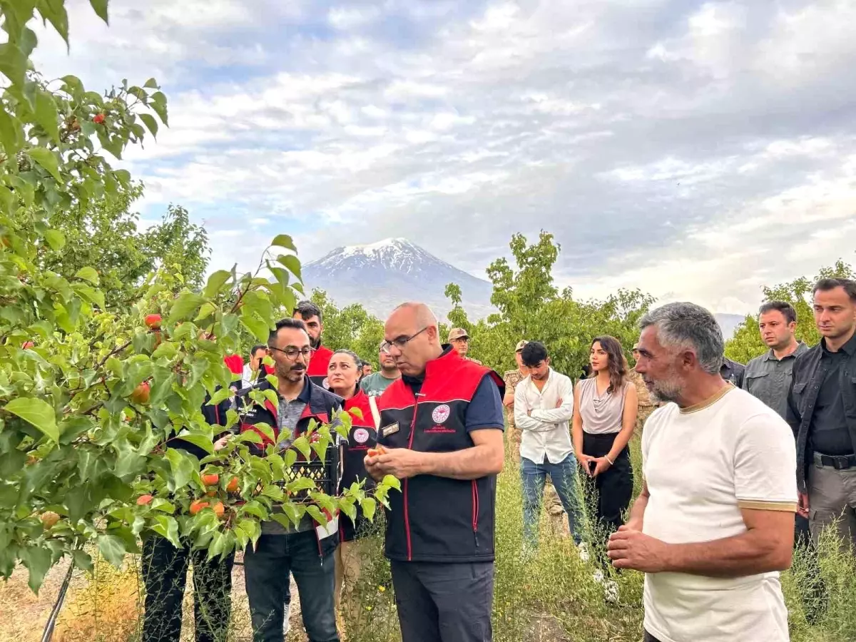 Vali Koç\'tan Doğubayazıt Ziyareti