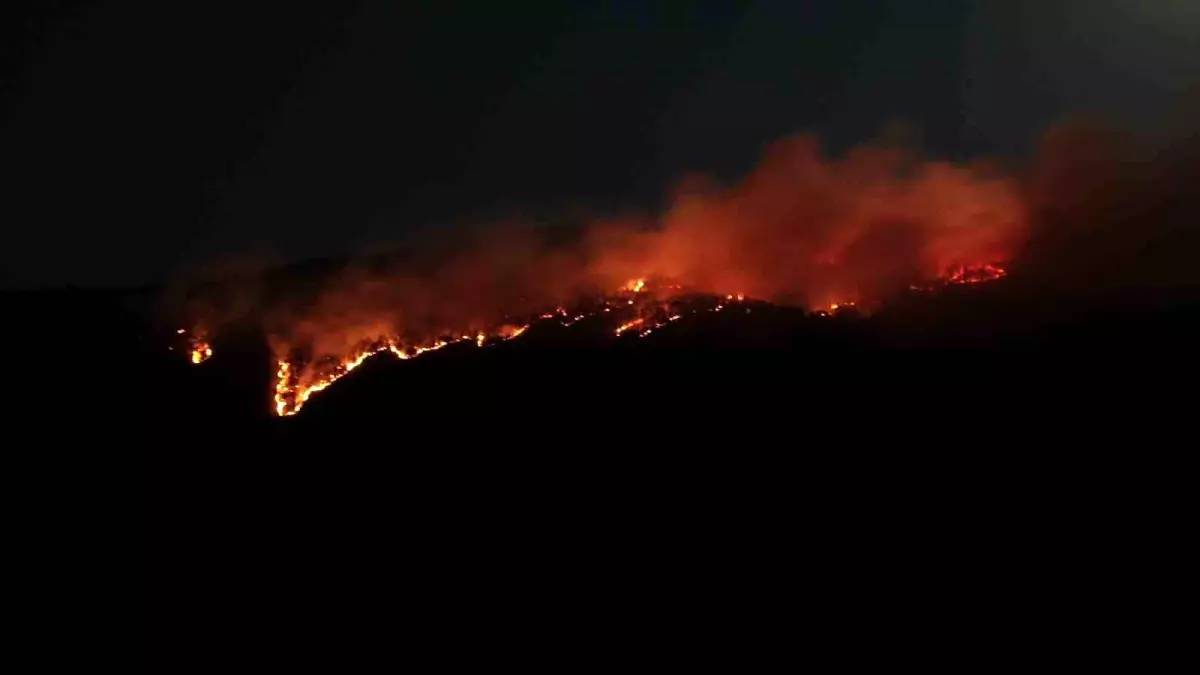 Ilgaz\'da Orman Yangını