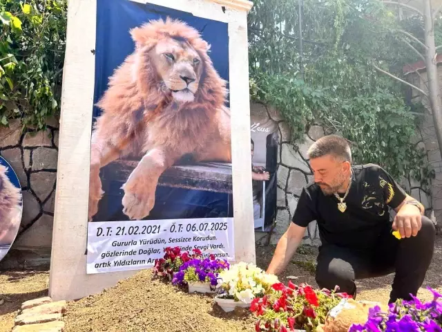 Çiftçiye saldıran aslanın sahibinden tuhaf mezar: Nereye baksam Zeus'u görüyorum
