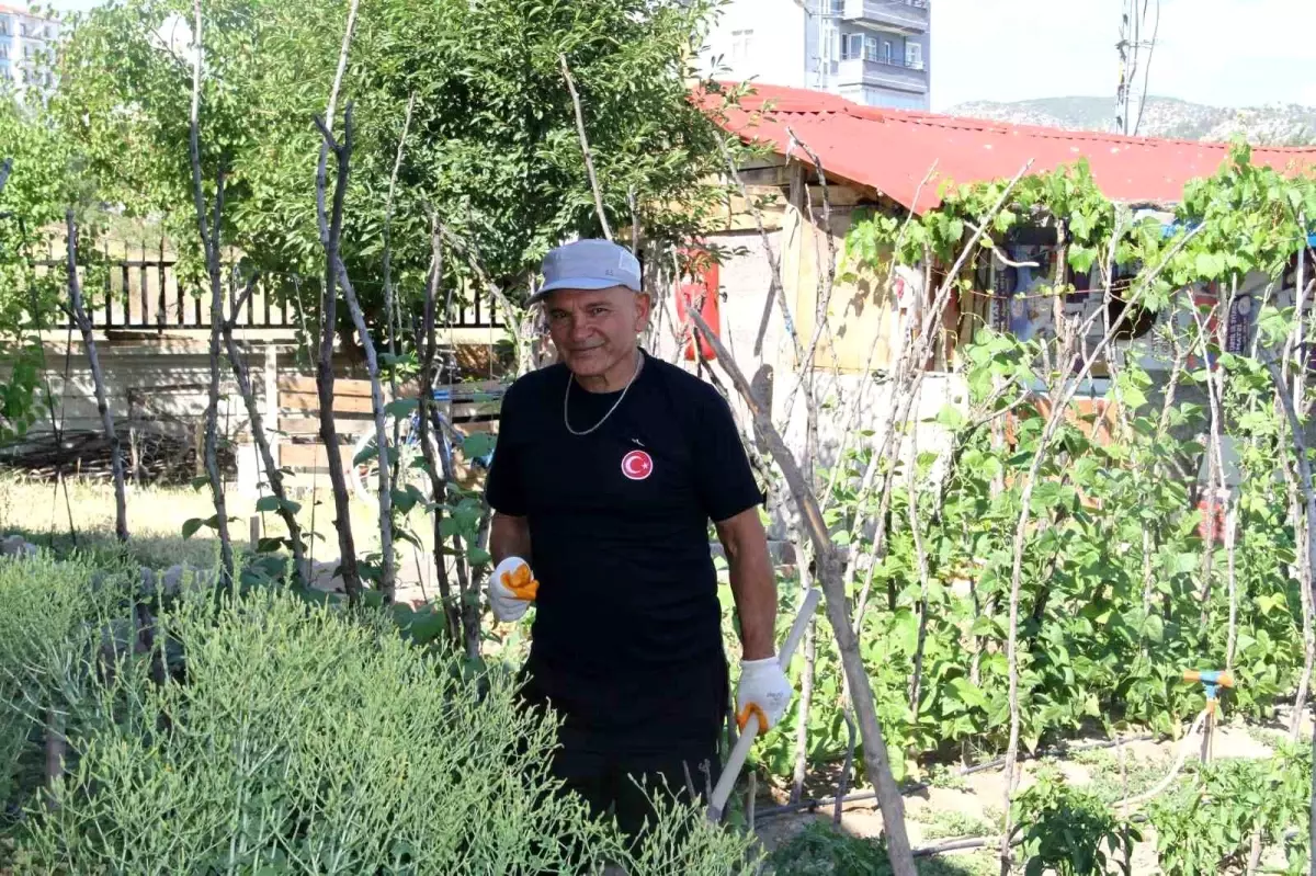Çocukluk Hayali: Doğayla İç İçe Yeni Bir Hayat