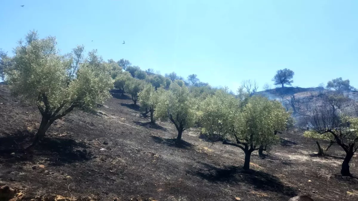 Turgutlu\'da yangın kontrol altına alındı