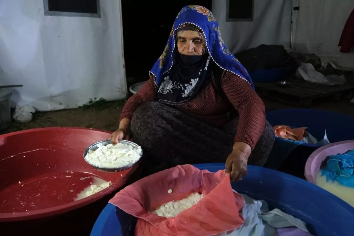 Erzincan Tulum Peyniri Satışta