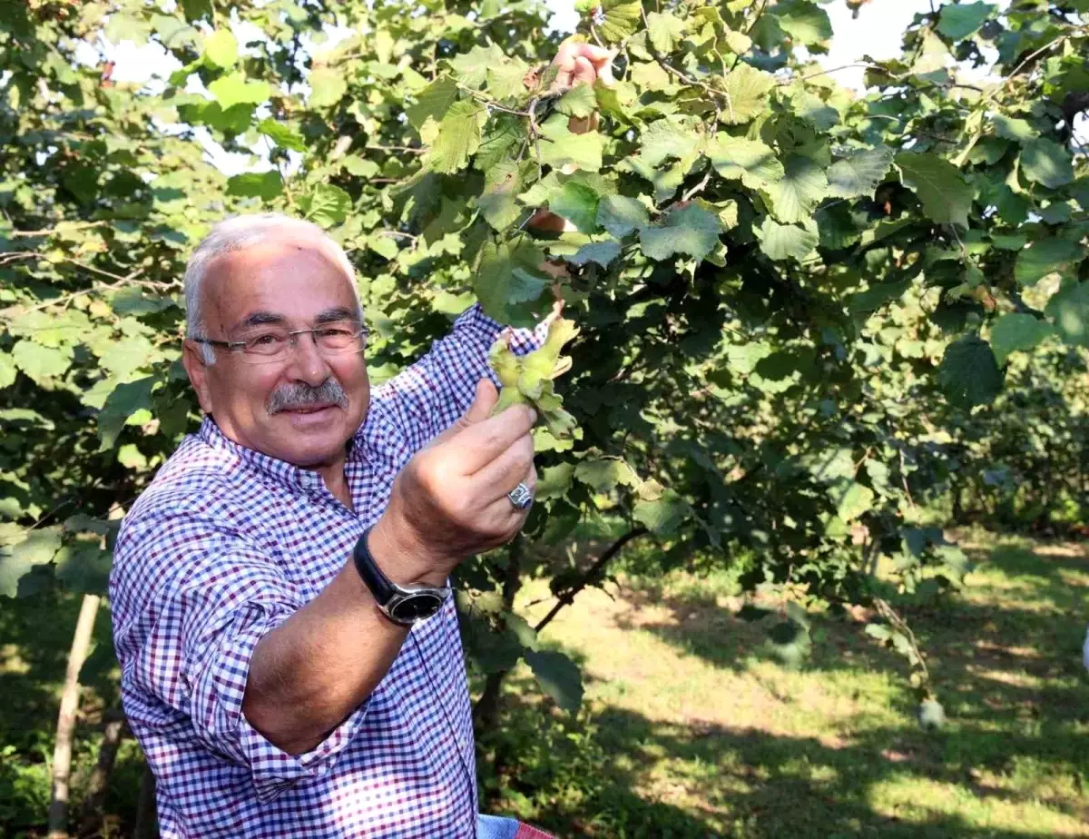 Başkan Güler\'den Ferrero\'ya karşı tarihi fındık mücadelesi: "Bu bir milli duruştur"