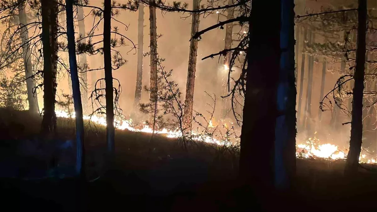 Ilgaz\'da Orman Yangınına Müdahale Devam Ediyor