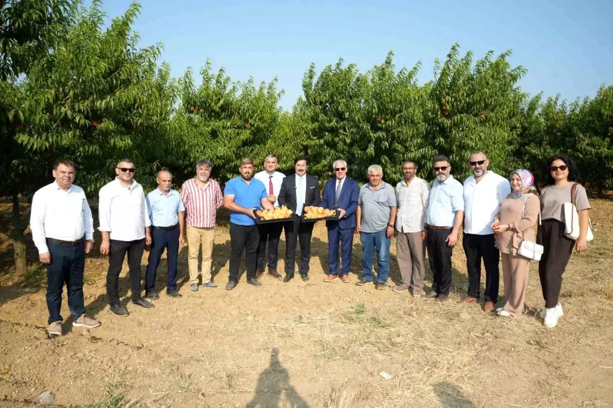 Libya ile Yenişehir Arasında Tarım İhracatı Sözleşmeleri Tamamlanmak Üzere
