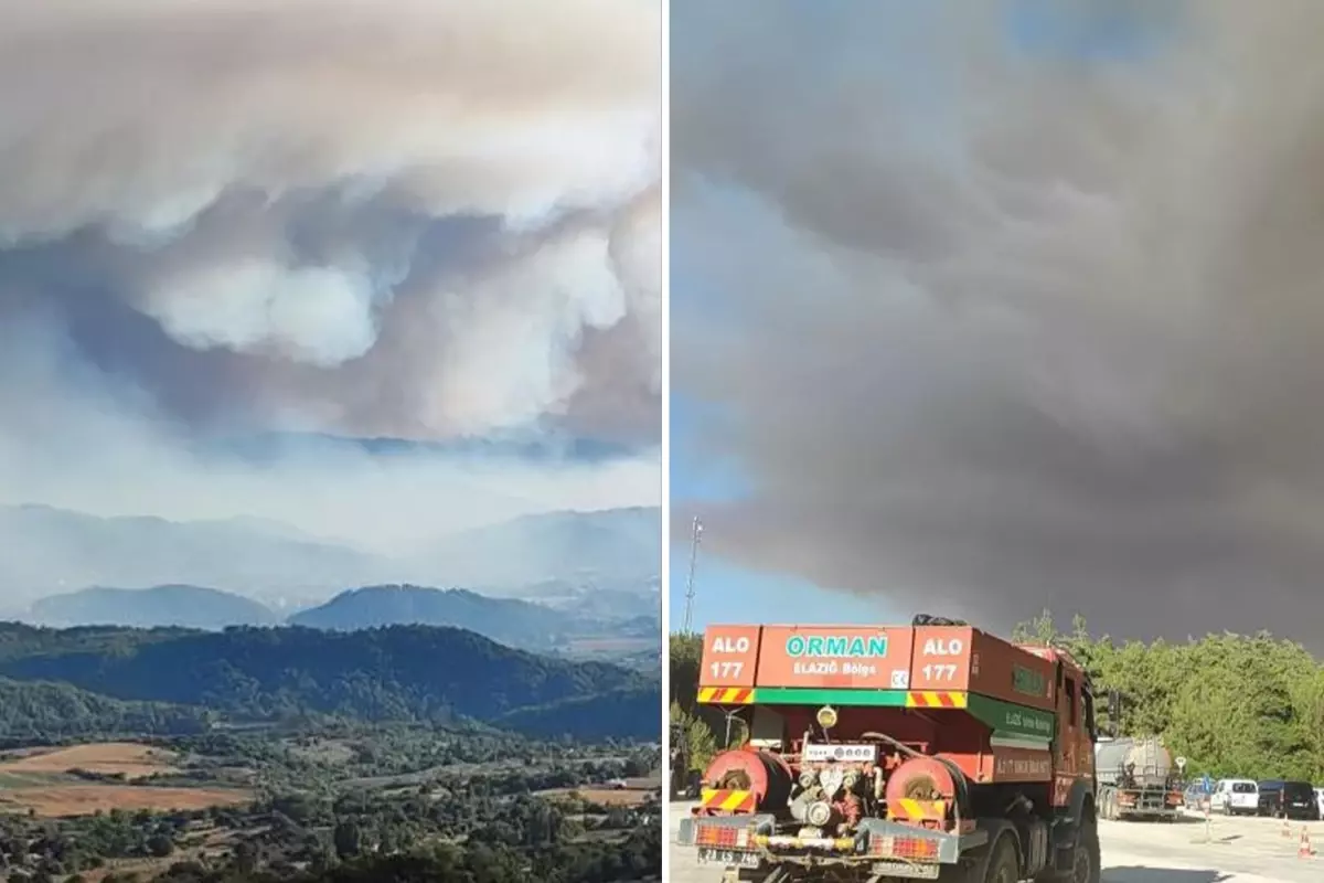 Suriye\'deki orman yangını Hatay\'ın Yayladağı ilçesine sıçradı