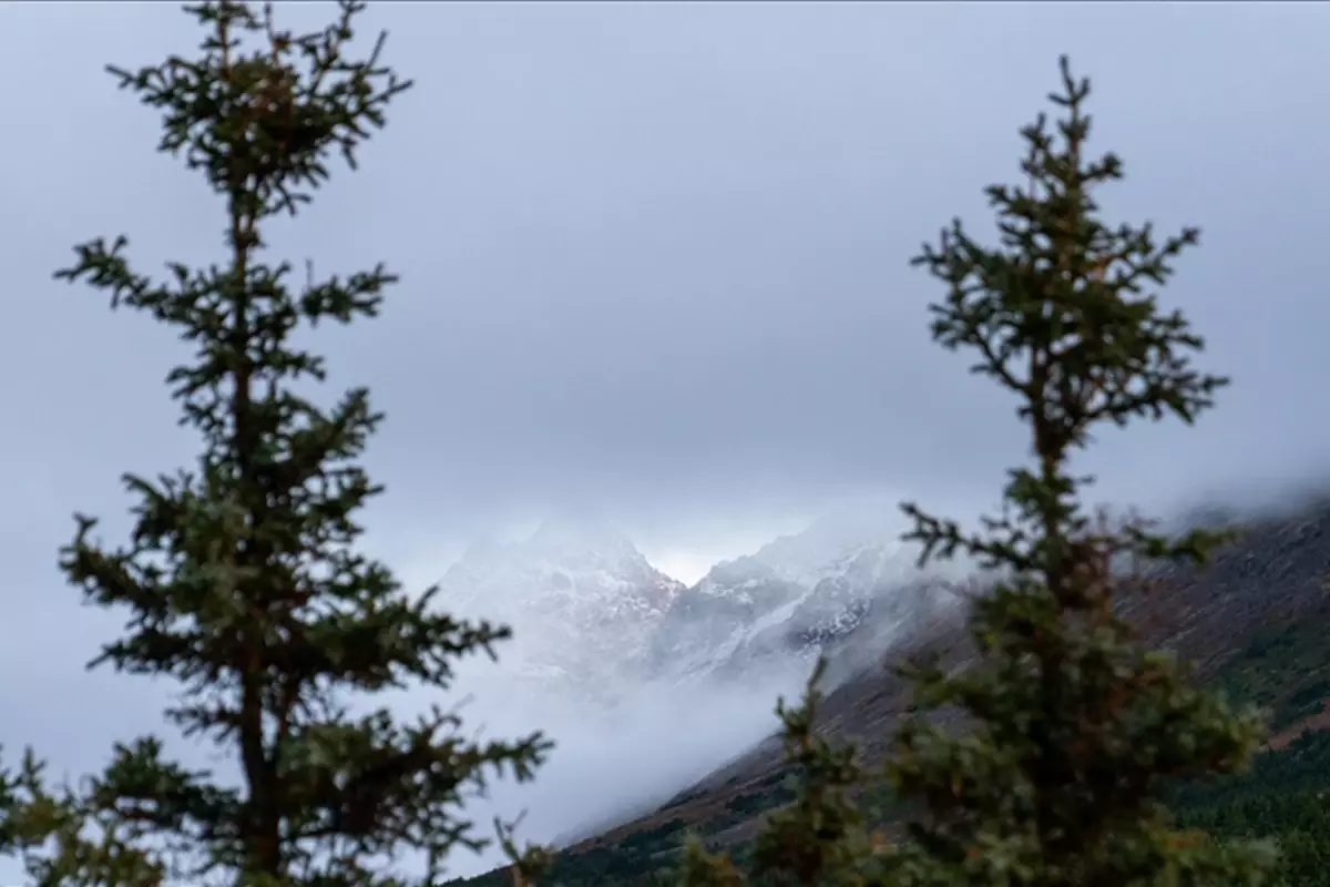 100 yıl sonra uyanıyor mu? Alaska\'daki yanardağ harekete geçti