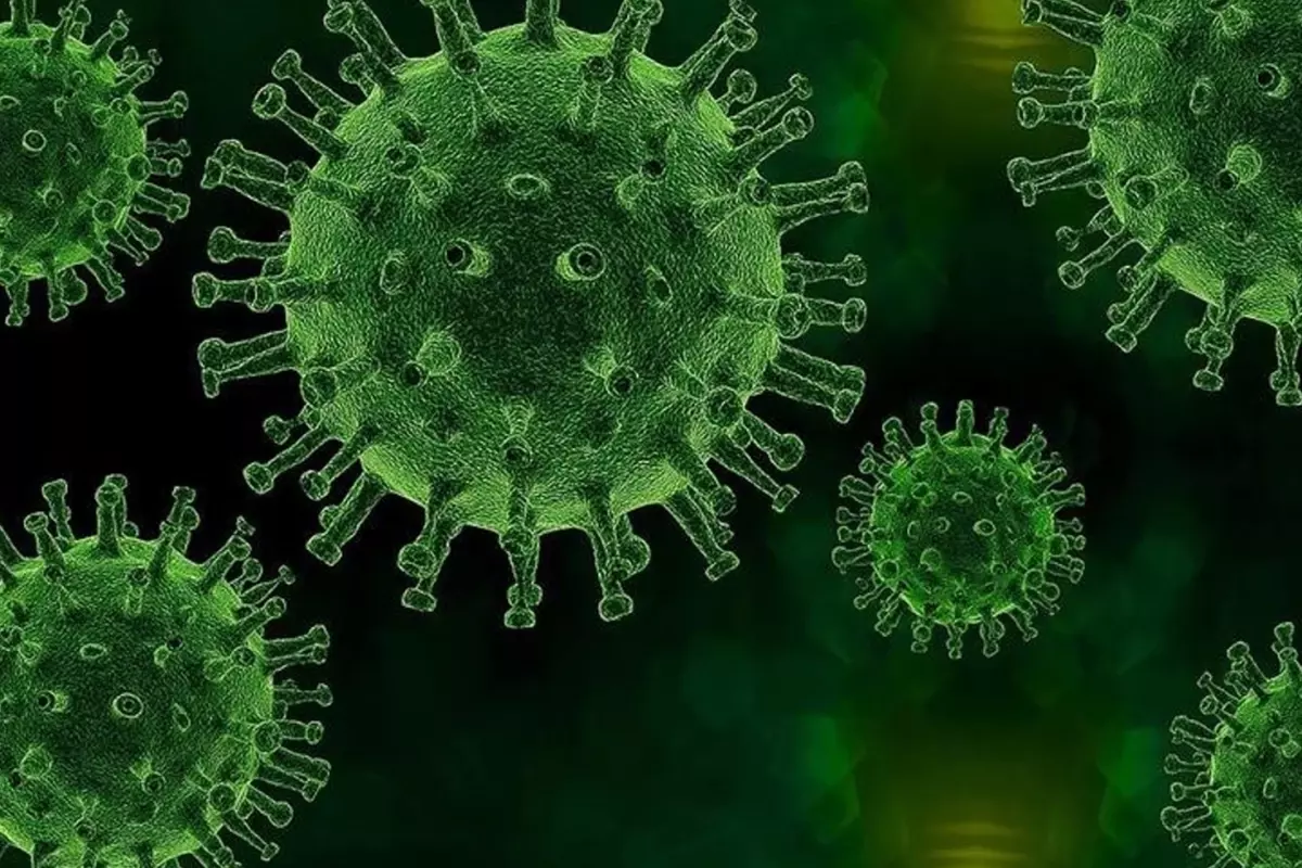 ABD\'de 18 yıl aradan sonra ilk veba ölümü