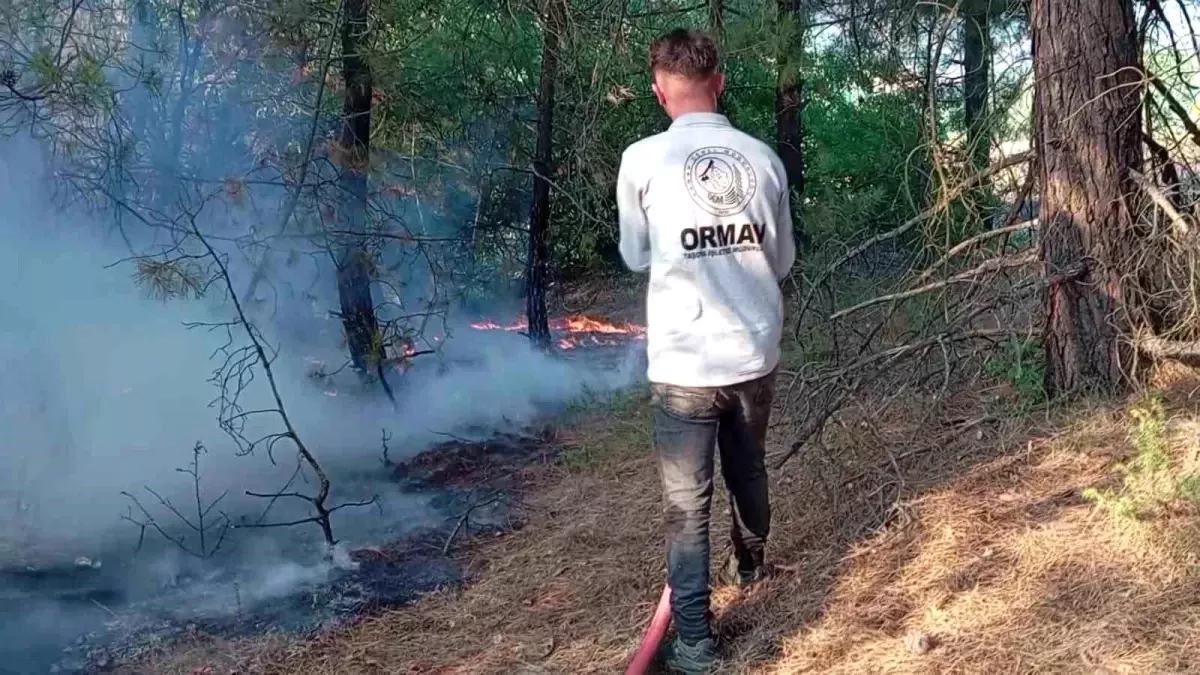 Amasya\'da orman yangını! 10 dekarlık alan zarar gördü