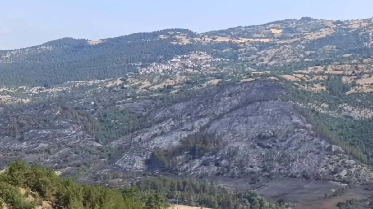 Balıkesir\'de Yangın Söndürme Çalışmaları Devam Ediyor