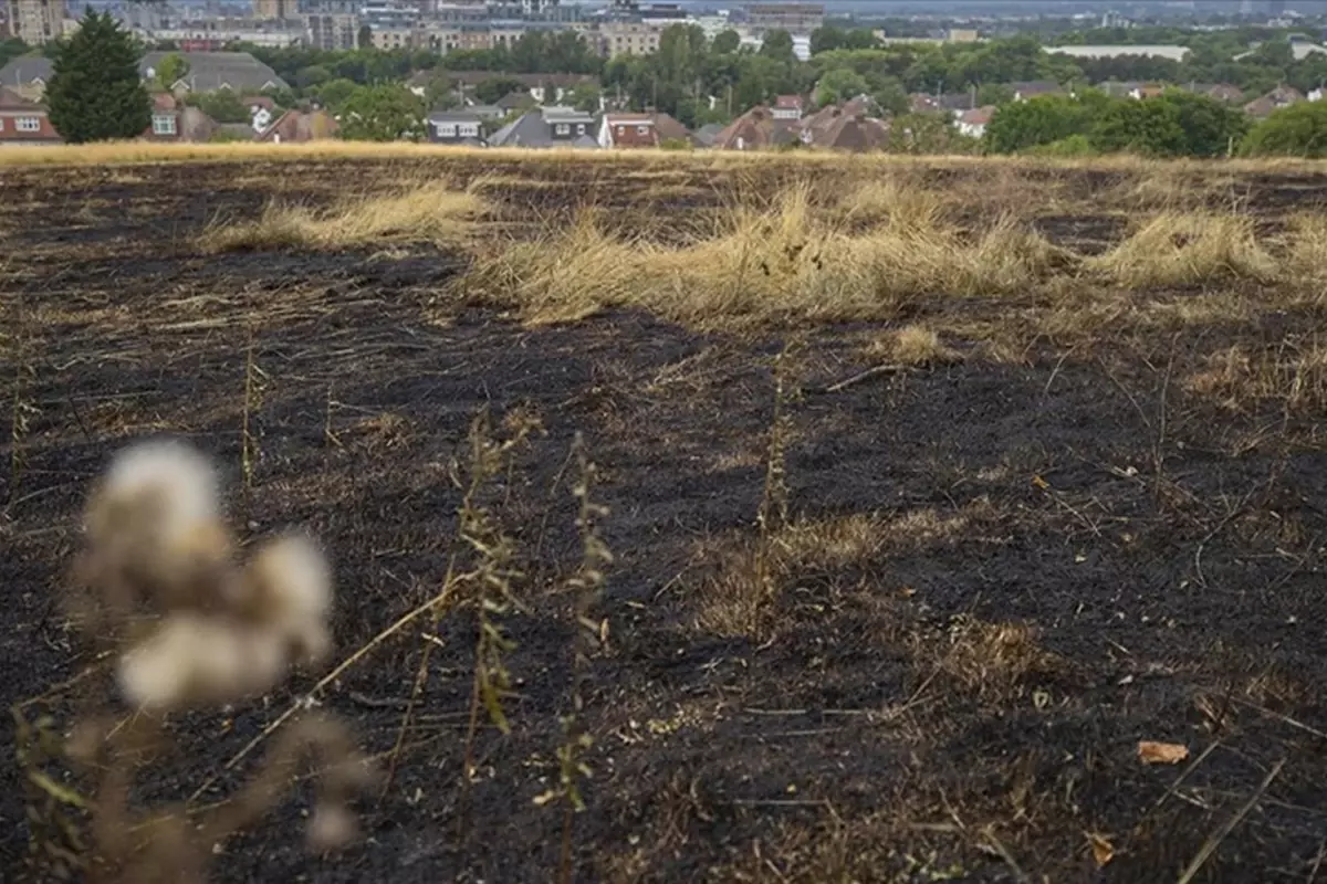 Londra\'da sanayi sitesi kül oldu! Dumanlar kilometrelerce uzaktan görüldü