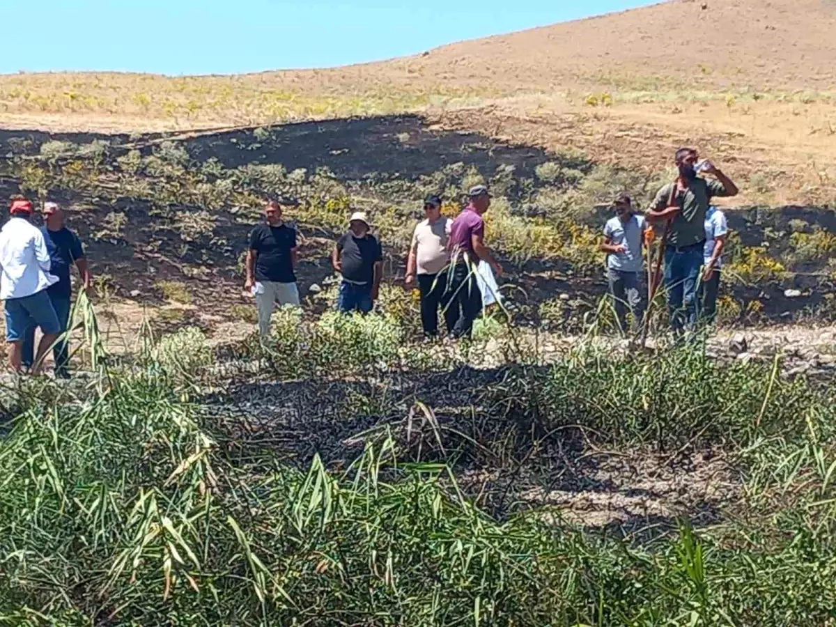 Tunceli\'nin Pertek İlçesinde Yangın Kontrol Altına Alındı