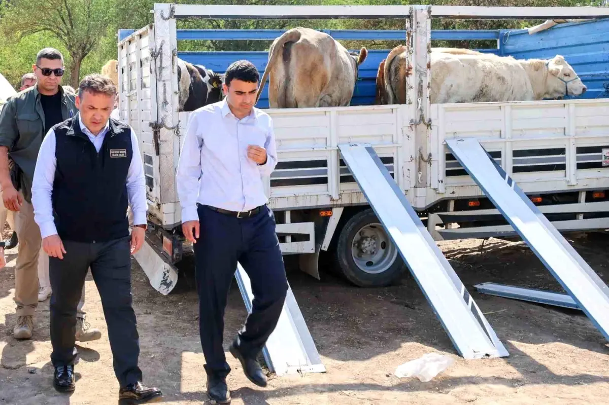 Bilecik\'te Yangın Sonrası Destek Hamleleri