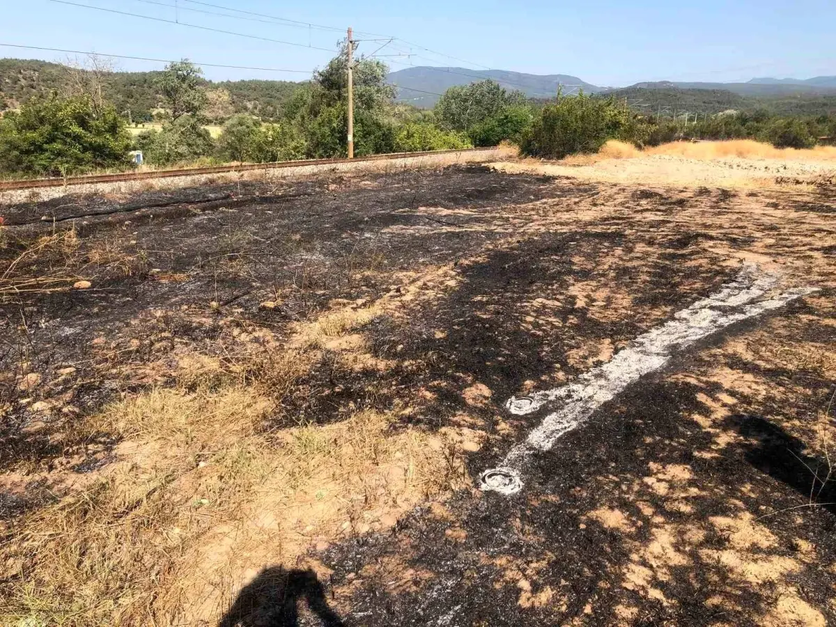 Bilecik’te Anız Yangını Hızla Kontrol Altına Alındı