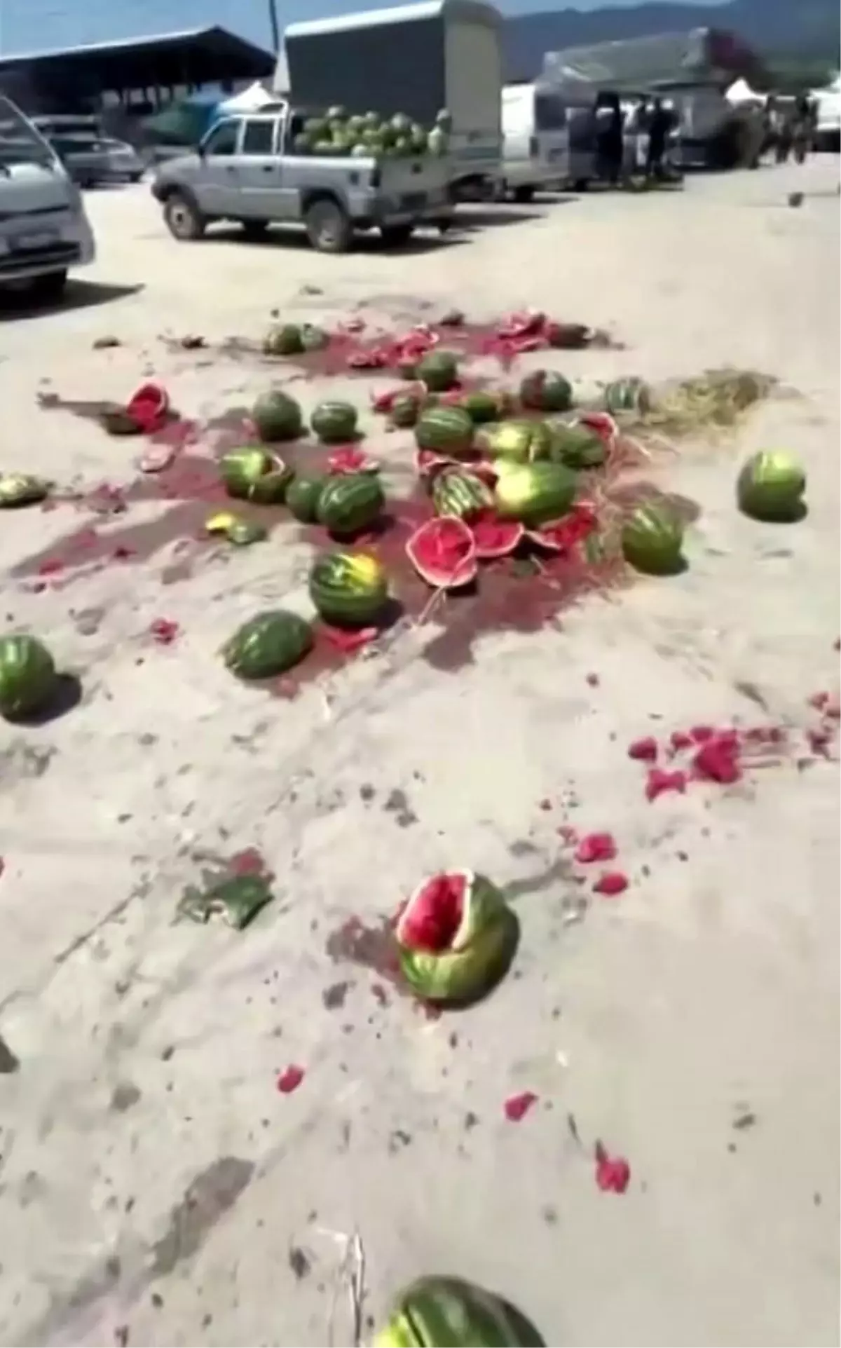 Çiftçiden Protesto: Karpuzları Yere Fırlattı