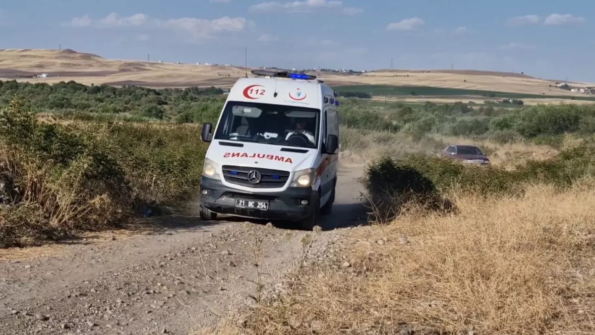 Diyarbakır\'da Dicle Nehri\'nde Boğulma Tehlikesi