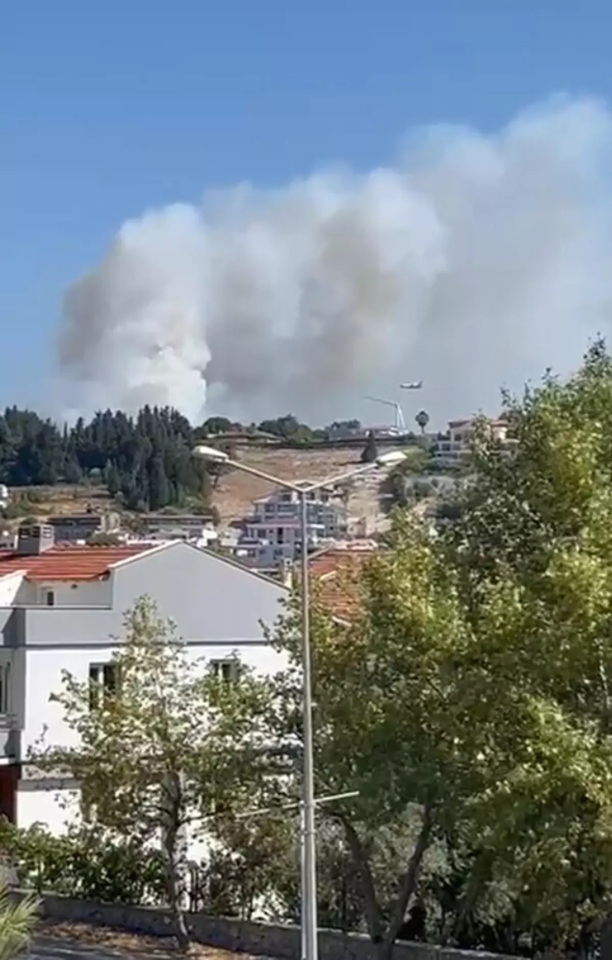 Urla\'da Orman Yangını
