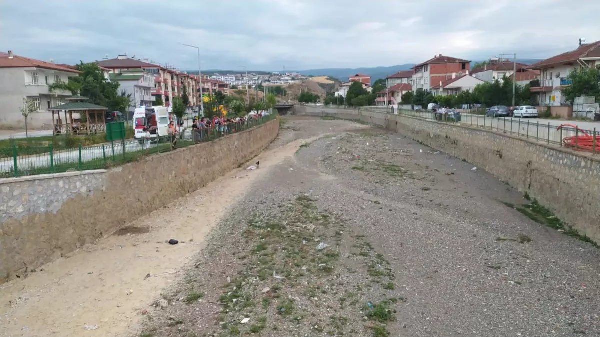 Kediyi Kurtarmaya Çalışan Genç Kız Yaralandı