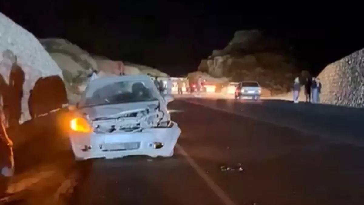 Mersin\'de Domuzla Çarpışan Araçta Yaralanan Yok