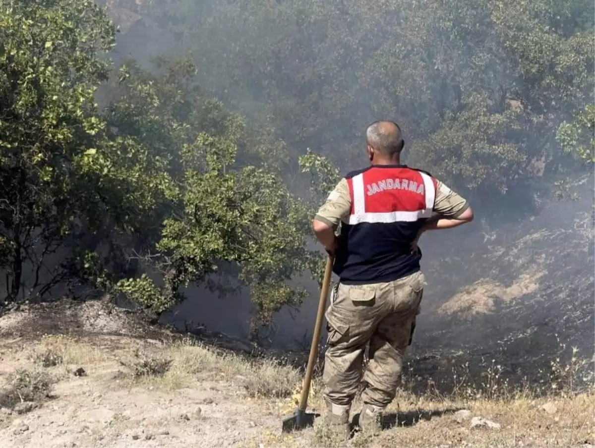 Tunceli\'de Yangın Kontrol Altına Alındı