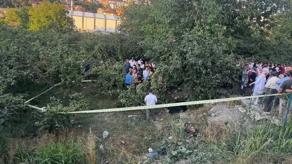 Zonguldak\'ta Kamyonet Fındık Bahçesine Uçtu