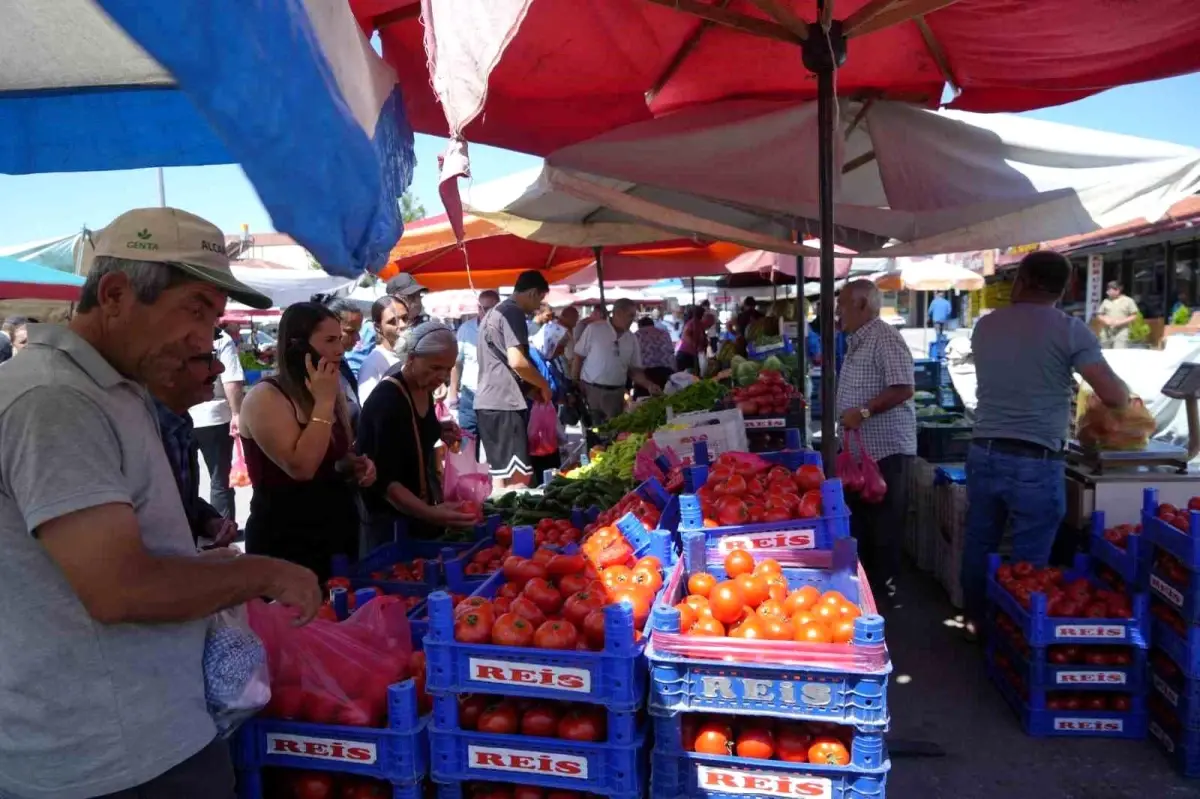 Erzincan Domatesi Bölgeyi Süslüyor