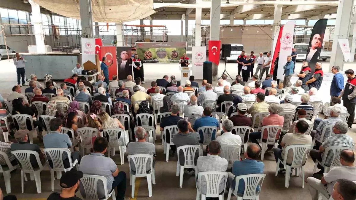 Zonguldak\'ta Hibe Fındık Filesi Dağıtımı