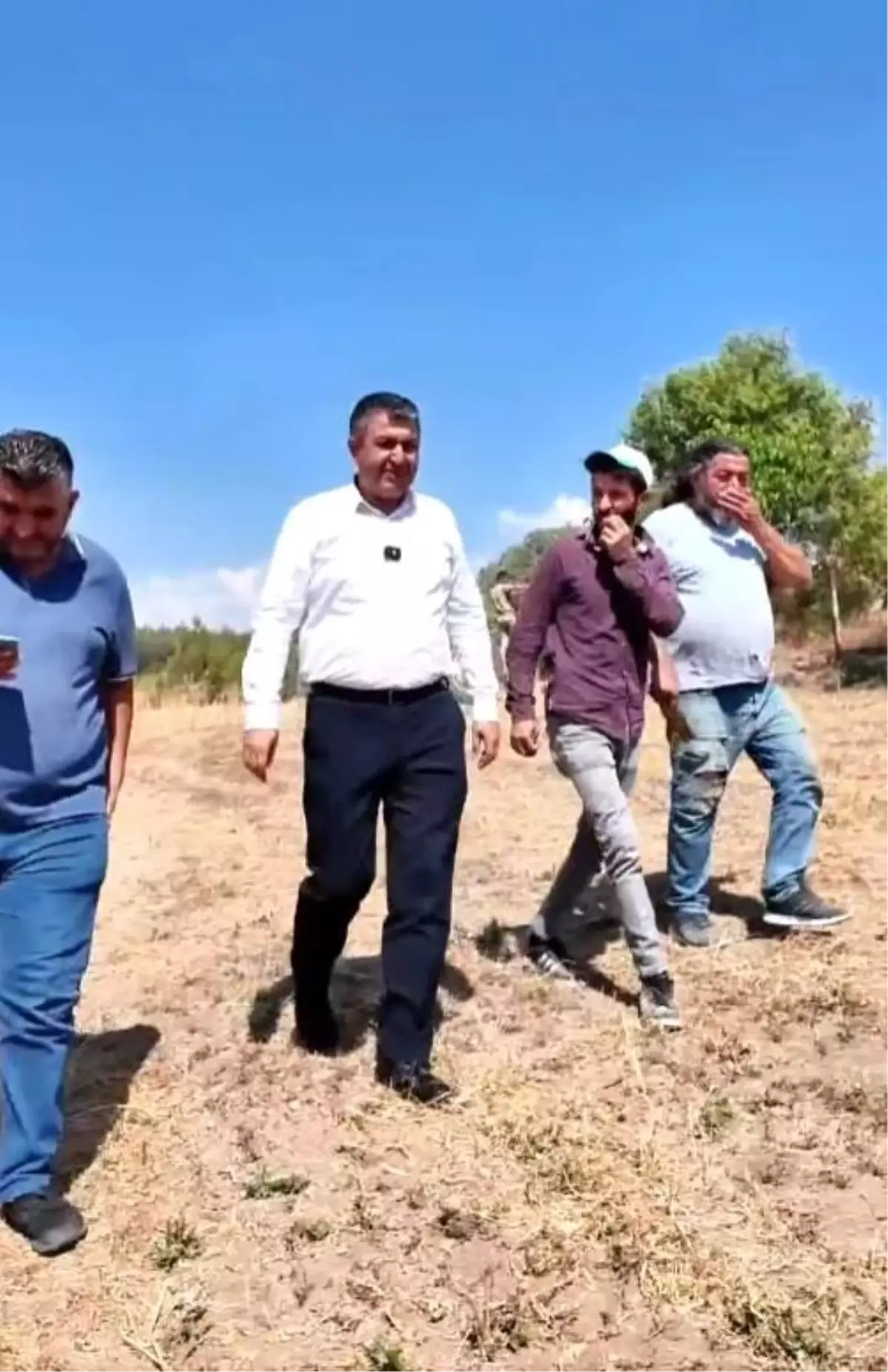Gediz\'de 2025 Buğday Hasat Dönemi Başladı