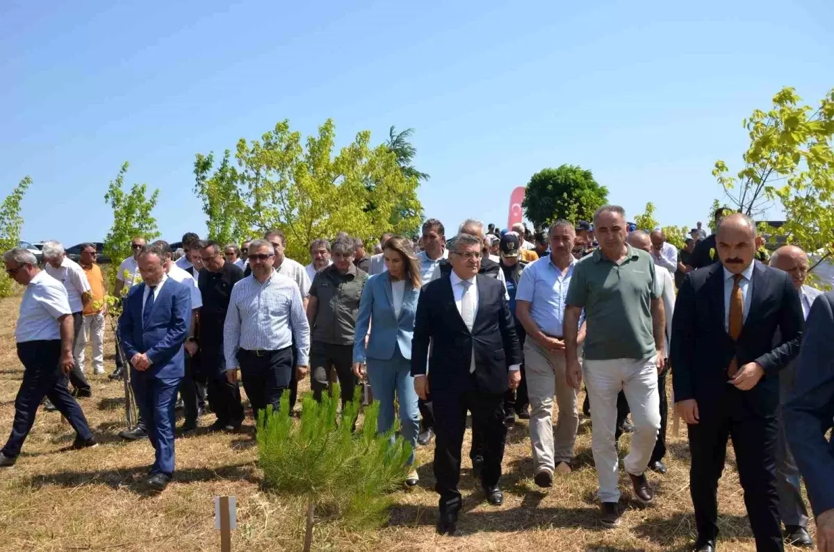 Sinop\'ta Şehit Ömer Can Açıkgöz\'ün adı hatıra ormanında yaşatılıyor