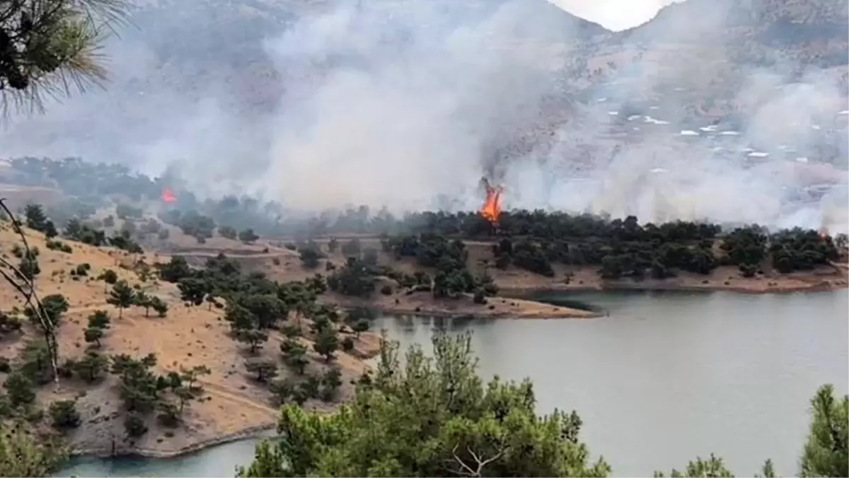 Adıyaman\'da Orman Yangını: İtfaiye Ekipleri Müdahalede Bulunuyor