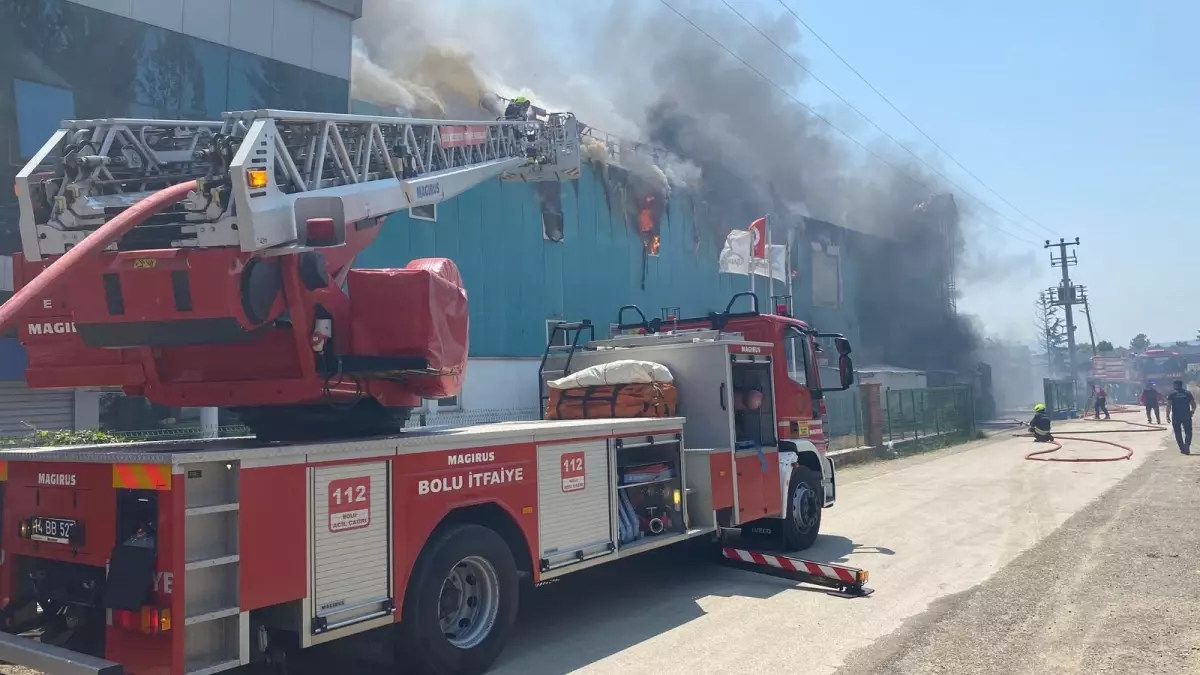 Bolu\'da Medikal Fabrikada Yangın