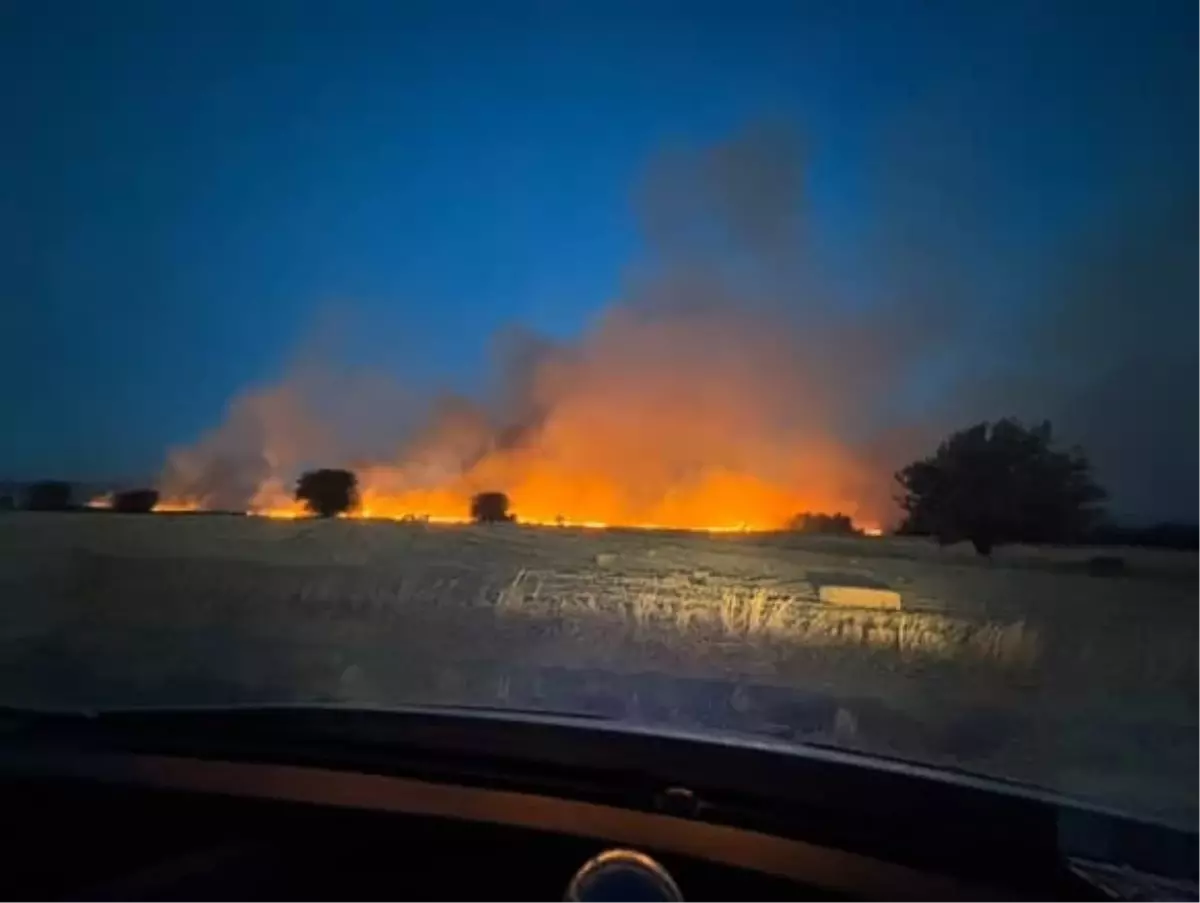 Çanakkale\'de Tarım Arazisinde Yangın Kontrol Altında