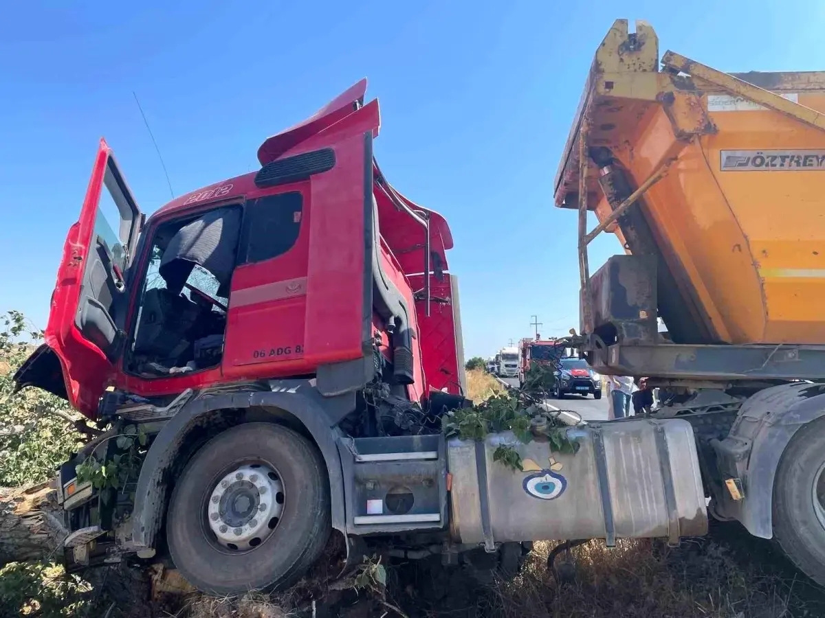 Tekirdağ\'da Hafriyat Kamyonu Ağaca Çarptı: 2 Yaralı