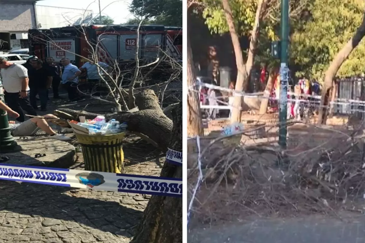 İstanbul\'da rüzgarın devirdiği ağaç 3 kişiyi yaraladı