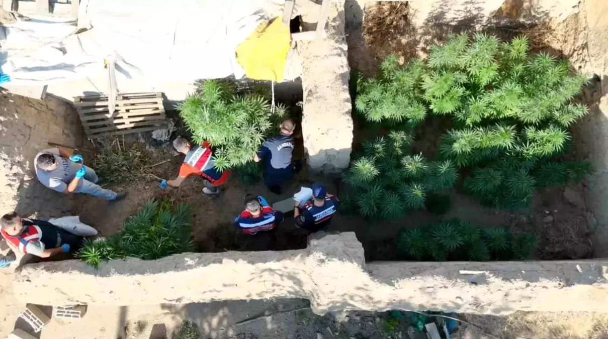 Aksaray\'da Kenevir Operasyonu
