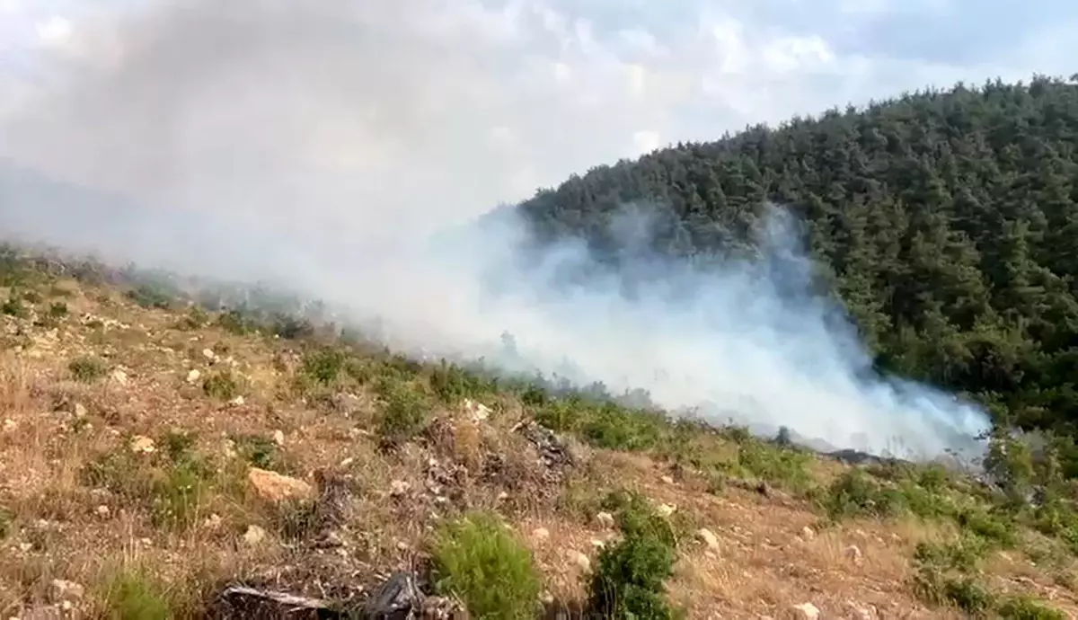 Bilecik\'te İkinci Orman Yangını Söndürüldü