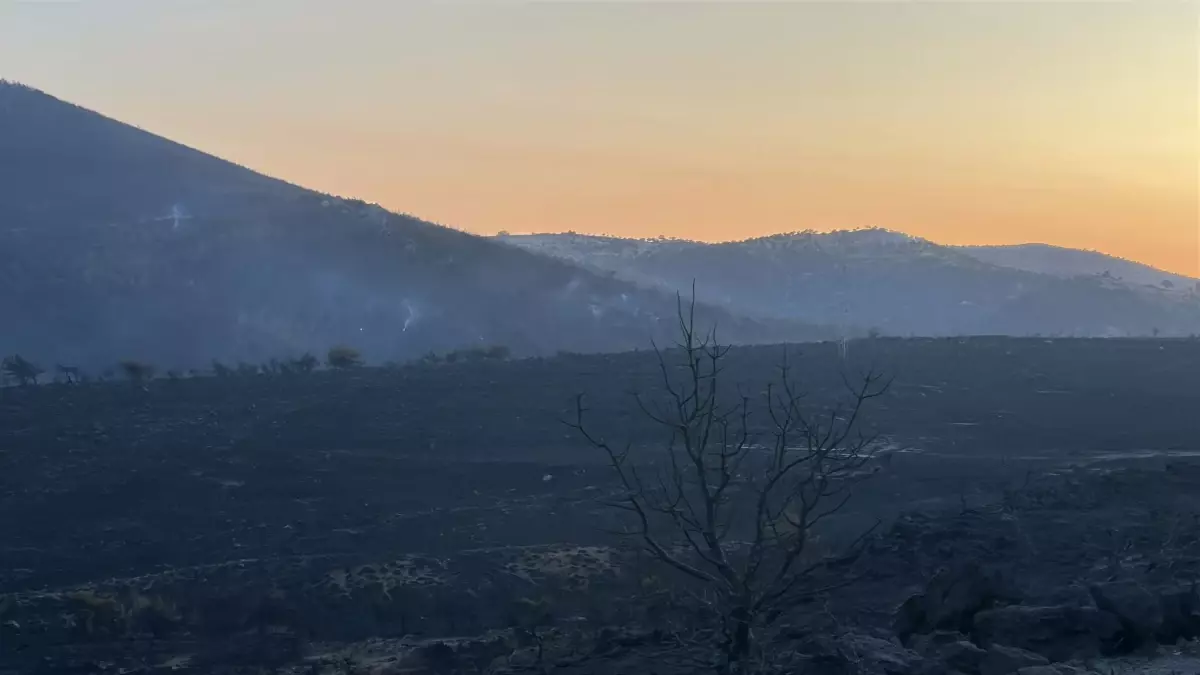 Çanakkale\'de Orman Yangını: Ekipler Müdahaleye Devam Ediyor