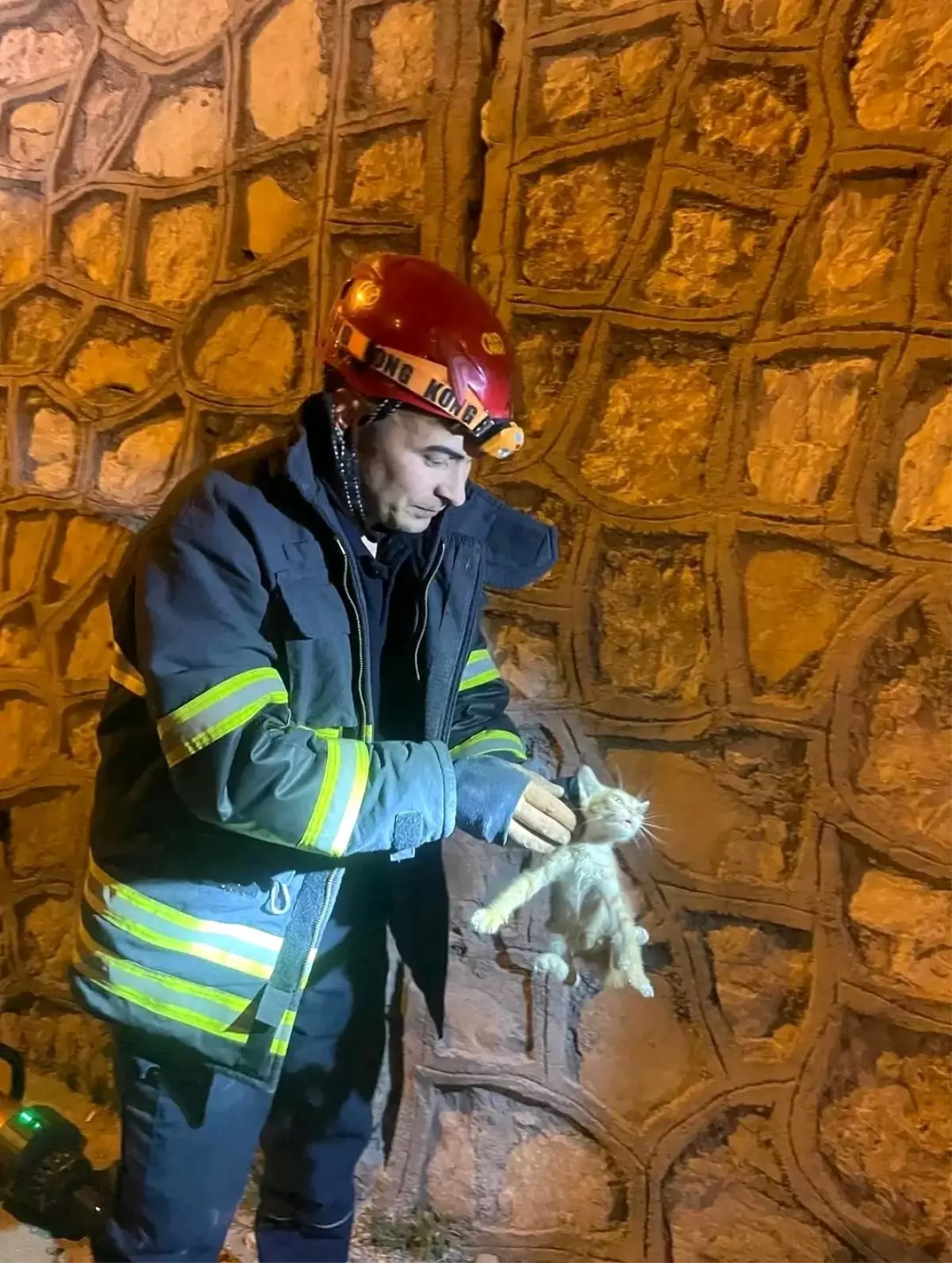 Antakya\'da Yavru Kedi İtfaiye Ekipleri Tarafından Kurtarıldı