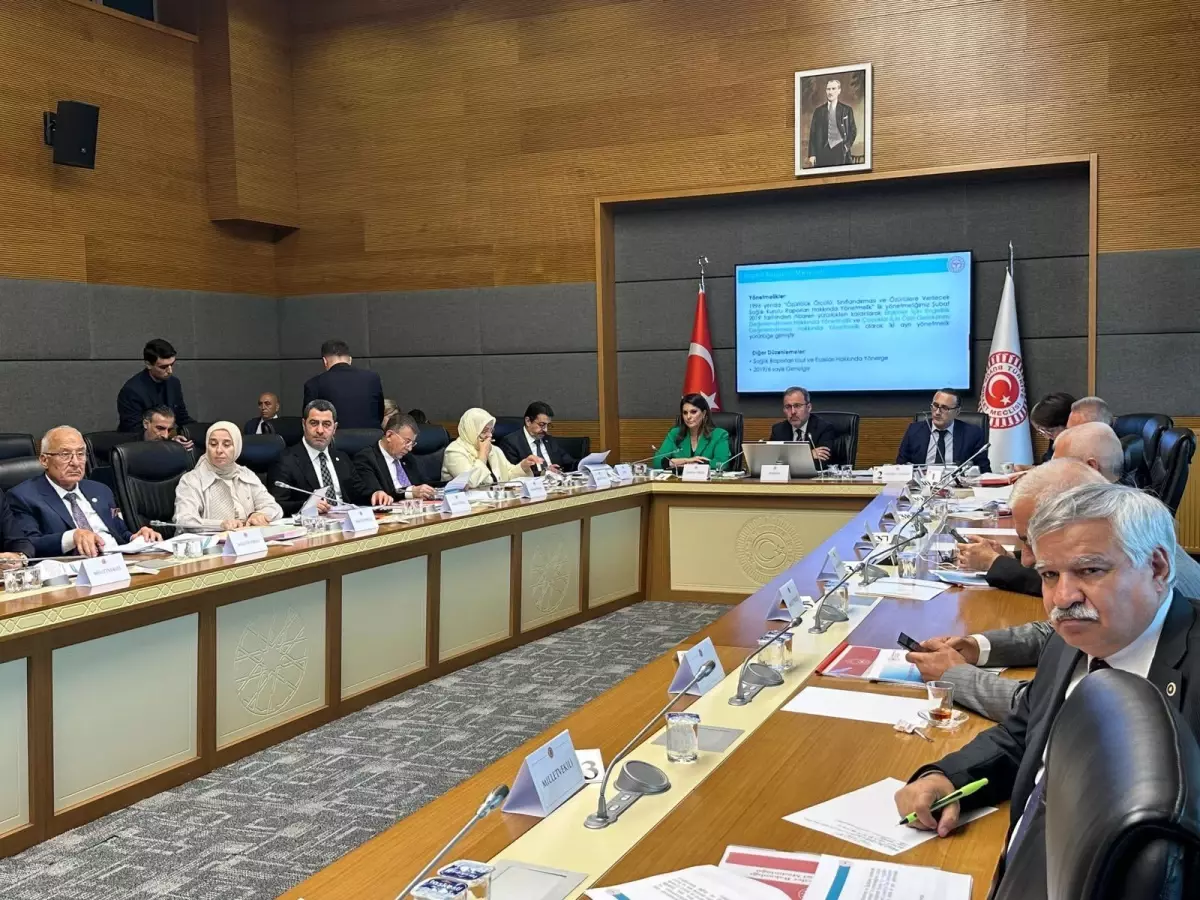 Engelli Bireyler İçin TBMM Toplandı