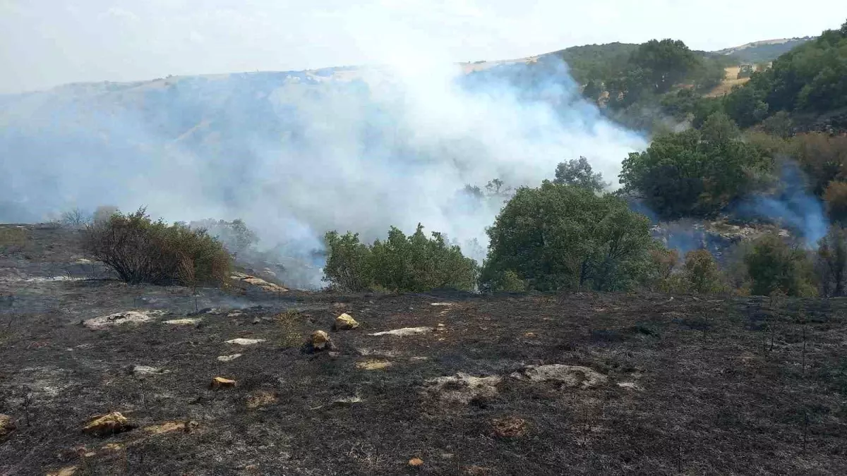 Eskişehir\'de Yangın Kontrol Altında