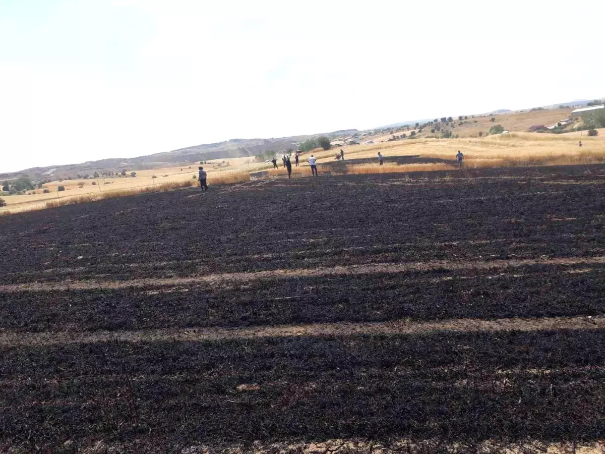 Kastamonu\'da Yangın: 15 Dönüm Buğday Tarlası Zarar Gördü