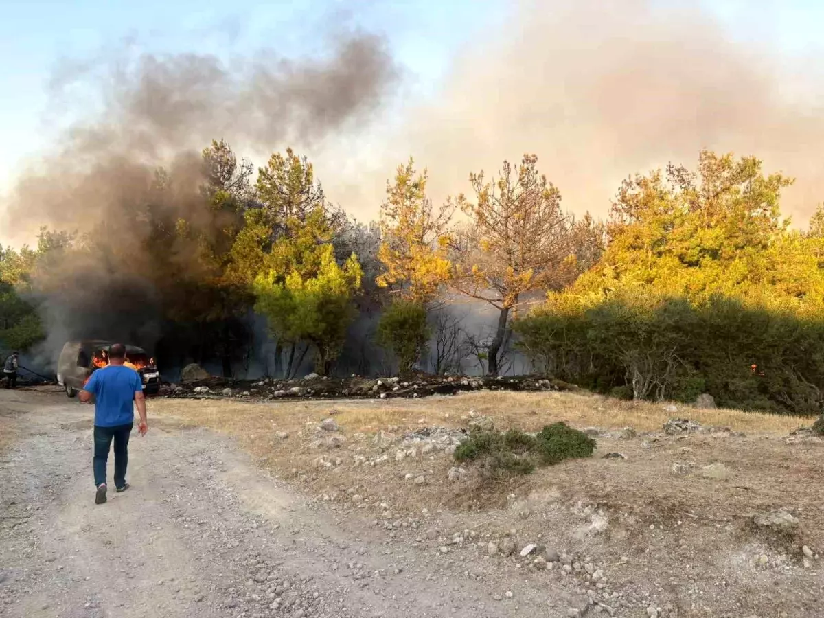 Çanakkale\'de Park Halindeki Midibüs Yangını Ormana Sıçradı