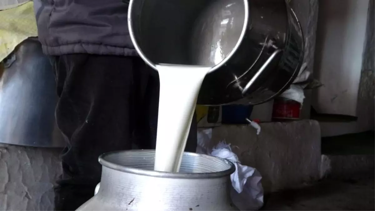 Çiğ Süt Fiyatı Belirlendi